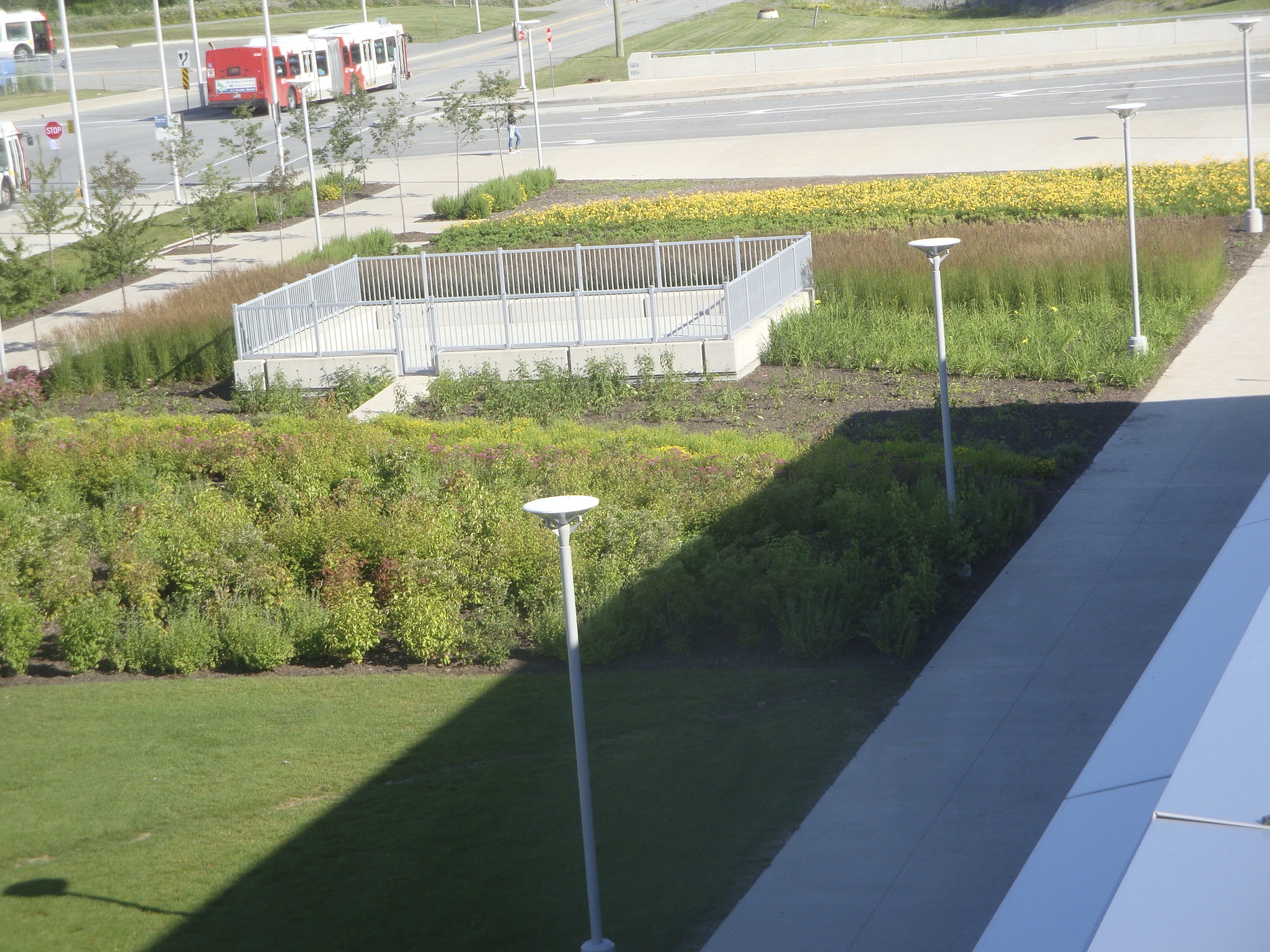 Algonquin College, Ottawa — Landscape design