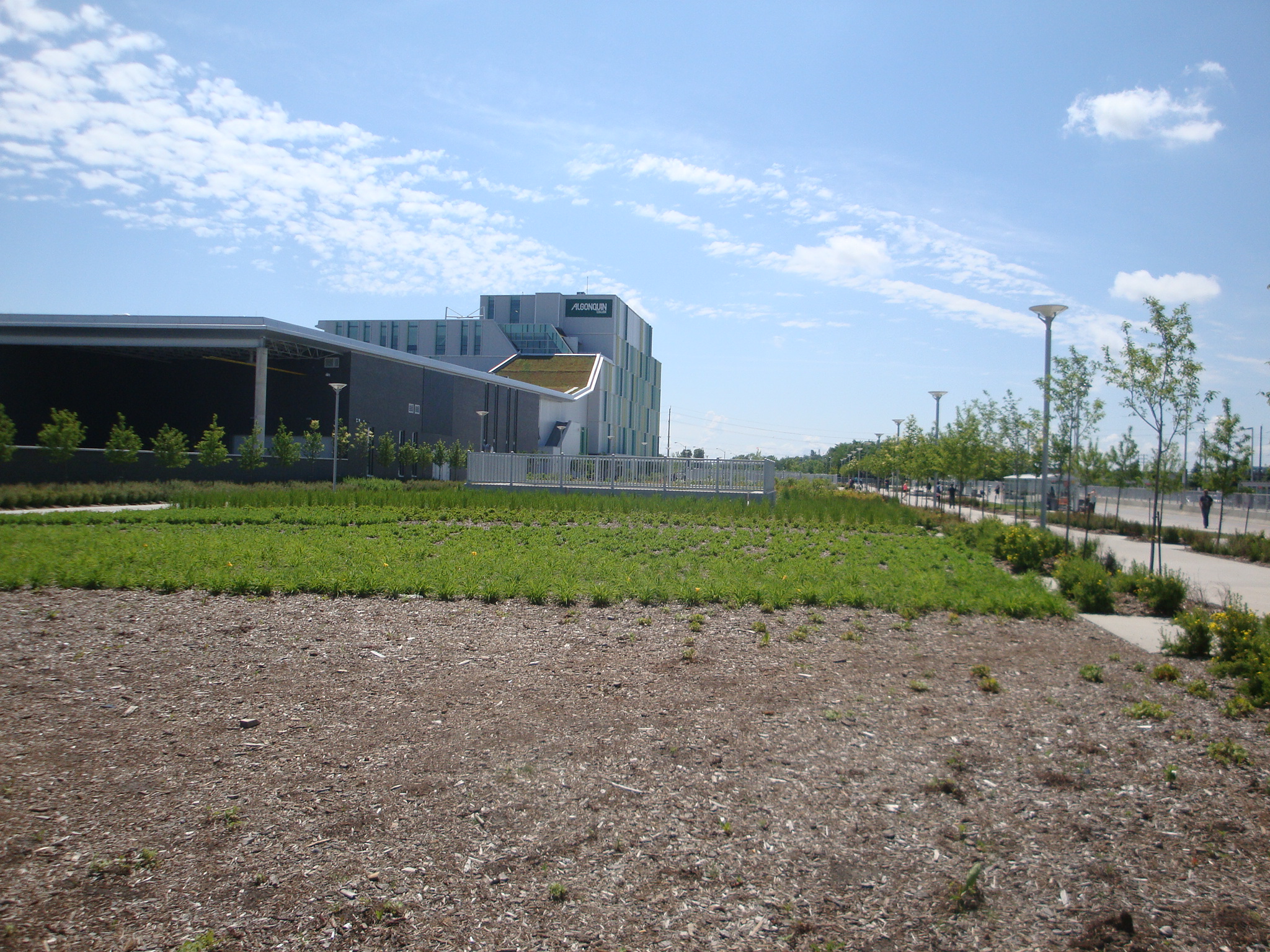 Institutional outdoor space Ottawa — site and landscape planning. GJA Inc.
